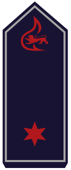 BW-BF-01-Brandmeister.png