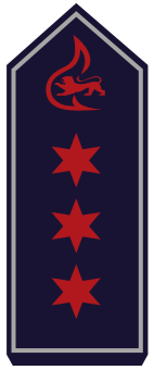 BW-BF-03-Oberbrandmeister_A8.png