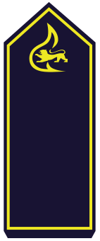 BW-BF-13-Brandreferendar.png