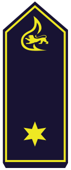 BW-BF-14-Brandrat_A13.png