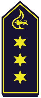 BW-BF-16-Branddirektor_A15.png