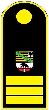 Landesbranddirektor_(Ministerialrat)_BF_LSA.jpg